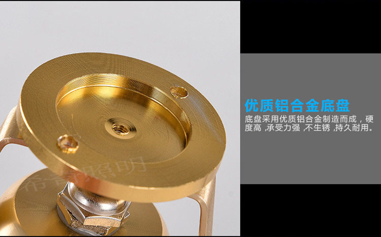 戶外防水3W5W土豪金色投射燈庭院花園亮化led投光燈照樹燈示例圖14