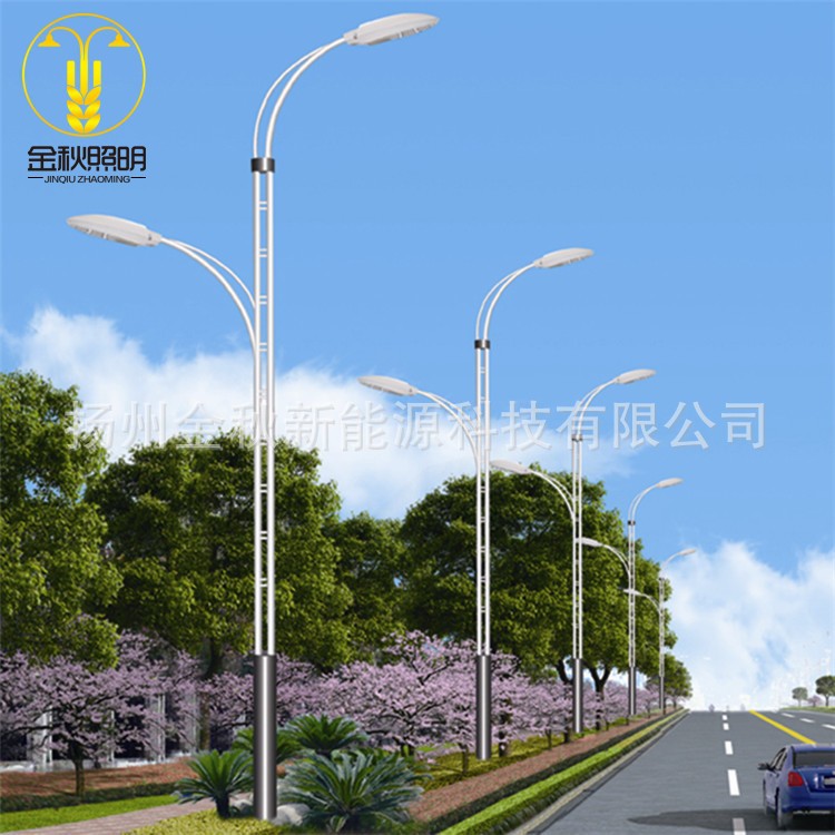 金秋庭院燈LED雙頭景觀燈鋁制公園小區院子廣場湖邊路燈戶外太陽能歐式3米庭院燈現代仿古太陽能庭院燈LED路燈生產廠家示例圖23