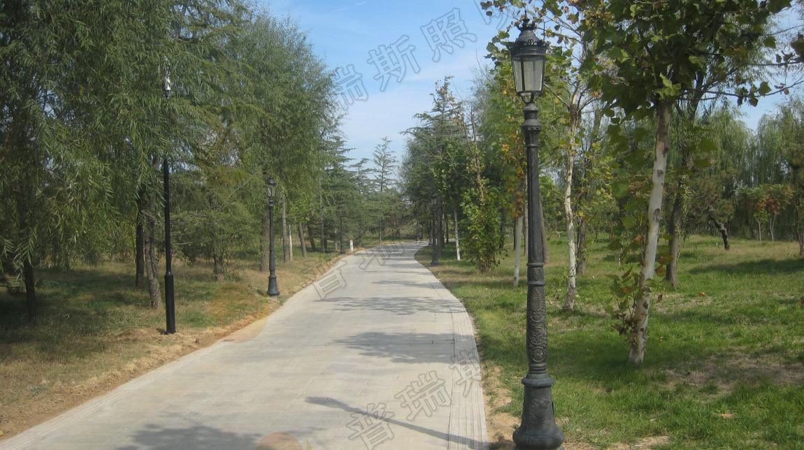 廠家直銷 庭院燈 景觀燈 景觀美化燈具 草坪燈批發(fā)定制庭院燈示例圖4
