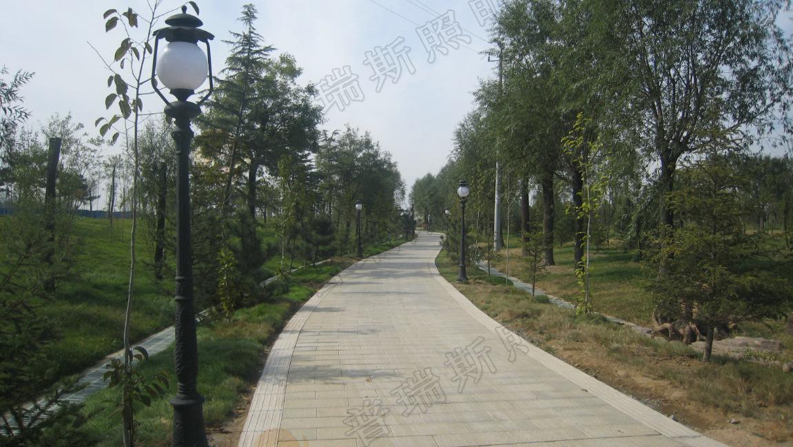 廠家直銷 庭院燈 景觀燈 景觀美化燈具 草坪燈批發(fā)定制庭院燈示例圖2
