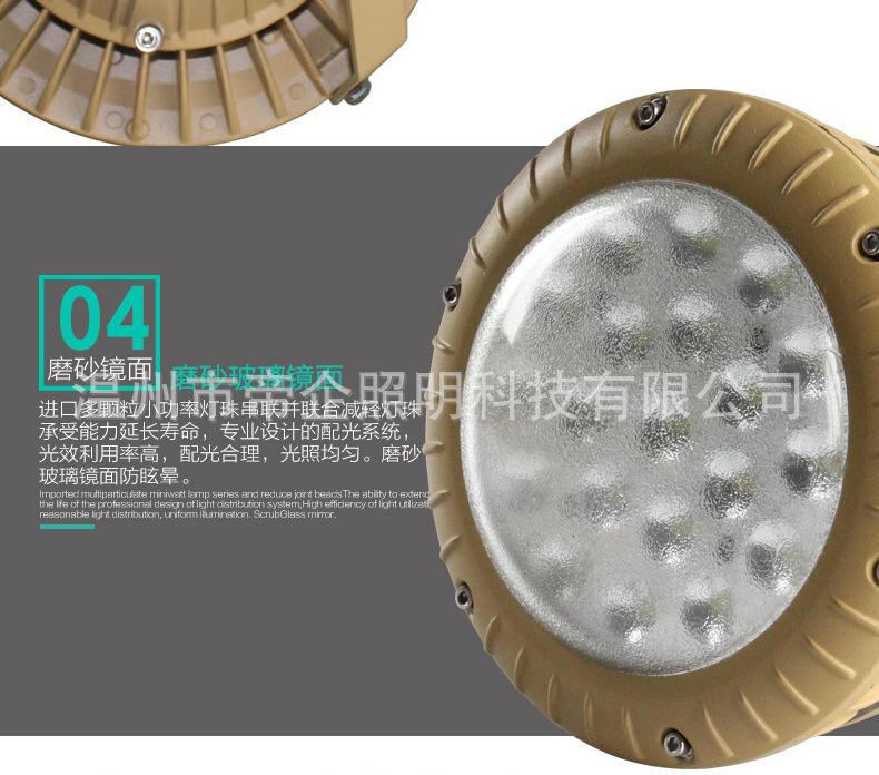 廠家直銷 防爆led燈 防爆光燈 免維護(hù)節(jié)能防爆投光燈 BAD85示例圖5