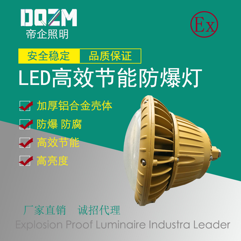 廠家直銷 防爆led燈 防爆光燈 免維護(hù)節(jié)能防爆投光燈 BAD85示例圖1