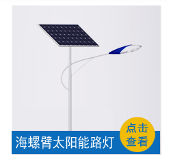太陽能路燈一體化 6米7米30W40W 太陽燈路燈led 太陽能路燈分體環(huán)保太陽能路燈新農(nóng)村led室外道路燈防水小區(qū)路燈示例圖5