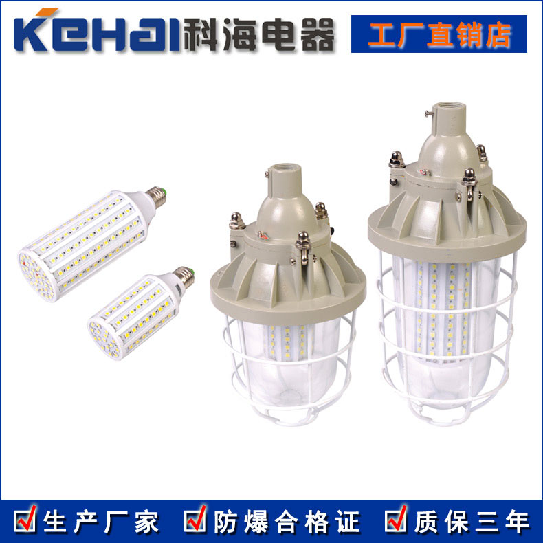 BED150隔爆型LED防爆投光燈 50W 70W示例圖5