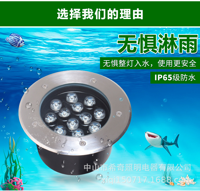 草坪燈地埋燈led戶外防水嵌入式照樹燈庭院燈七彩埋地燈公園別墅示例圖2