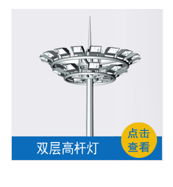 led中華玉蘭燈8米15米戶(hù)外廣場(chǎng)景觀路燈 市政工程建設(shè)道路燈 led廣場(chǎng)景觀照明玉蘭燈 定制8米10米12米路燈示例圖8