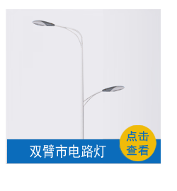 led中華玉蘭燈8米15米戶外廣場景觀路燈 市政工程建設道路燈 led廣場景觀照明玉蘭燈 定制8米10米12米路燈示例圖9