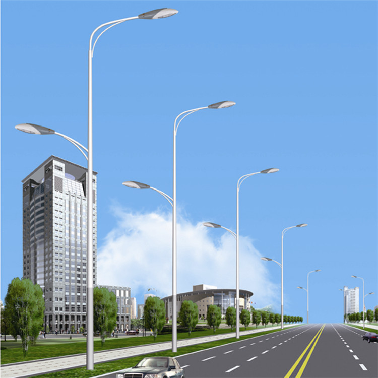 led中華玉蘭燈8米15米戶外廣場景觀路燈 市政工程建設道路燈 led廣場景觀照明玉蘭燈 定制8米10米12米路燈示例圖20
