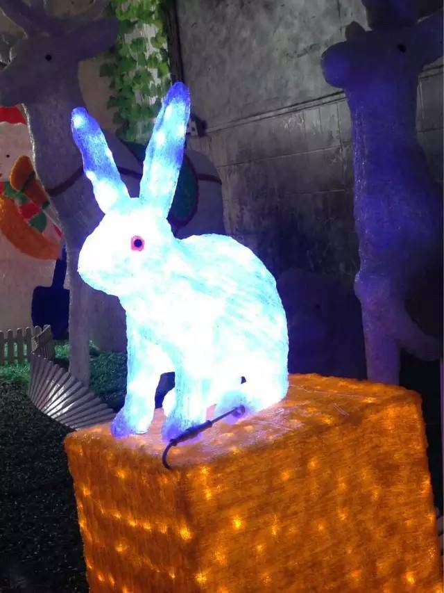 銅陵 路燈桿燈籠造型景觀燈 LED荷花造型景觀燈 來圖定制