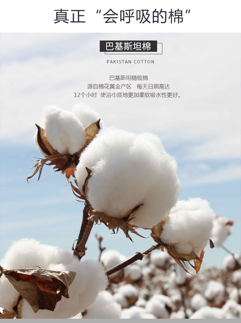 廠家直銷毛巾浴巾套裝 加柔吸水不掉毛酒店民宿毛巾純棉浴巾定制示例圖10