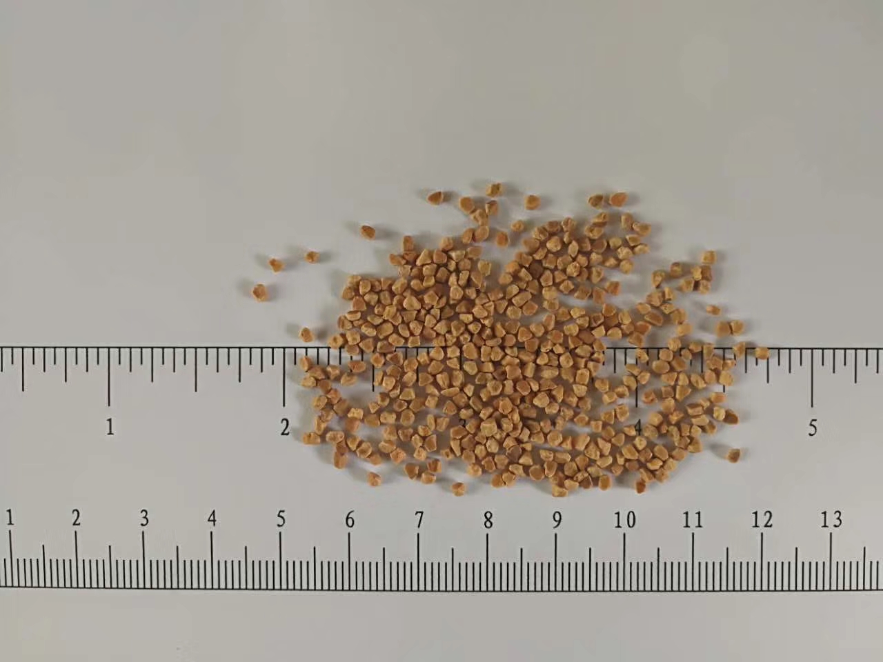 核桃殼拋光磨料各種型號 核桃殼濾料磨料 常年供應 碧之源