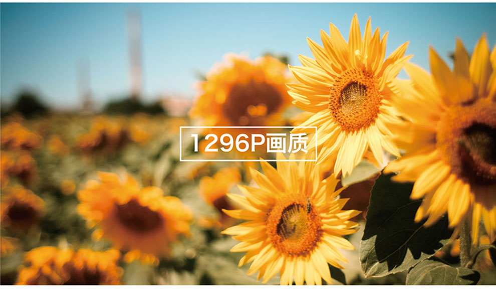 警攝高清紅外夜視現場工作記錄儀DSJ-Q9示例圖10