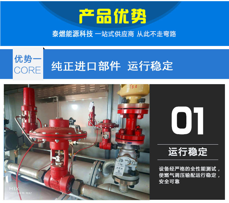 天然氣減壓閥 燃氣減壓閥  天然氣調壓閥 燃氣調壓閥示例圖5
