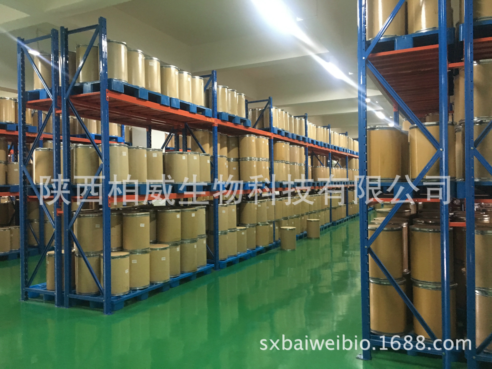 水龍骨提取物 青石蓮粉 比例濃縮 噴霧干燥 可定制規格 現貨優惠示例圖8