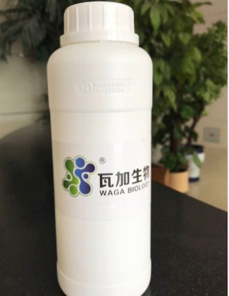 四川知名水性木器漆專用抗菌劑高品質的選擇