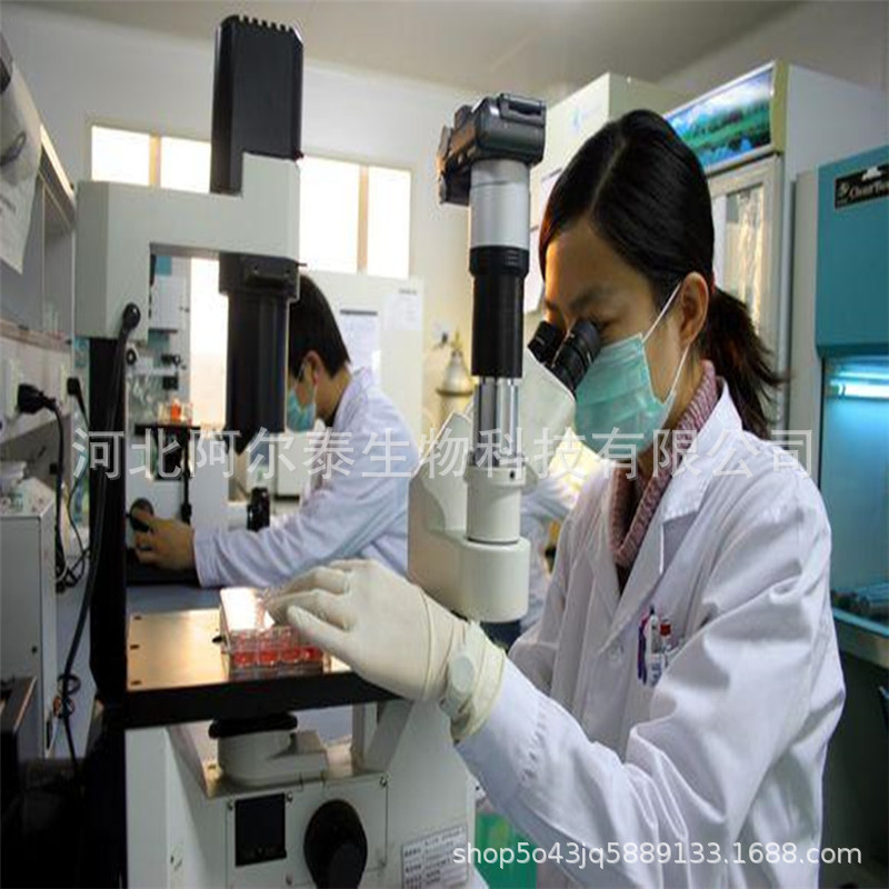 去氫孕酮阿爾泰廠家直銷去氫孕酮152-62-5可1kg包裝示例圖3