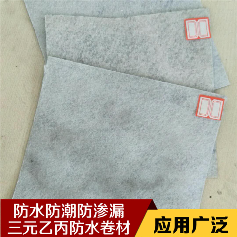 國標加絨三元乙丙防水卷材 隧道工程防水防滲建材拉力強耐腐蝕示例圖29