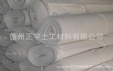 廠家直銷復合土工膜 土工布 定制一布一膜 兩布一膜 防滲膜等示例圖4