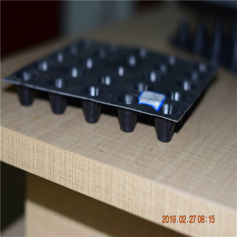 排水板日照廠家，供應日照排水板，生產(chǎn)排水板日照潤果實業(yè)集團