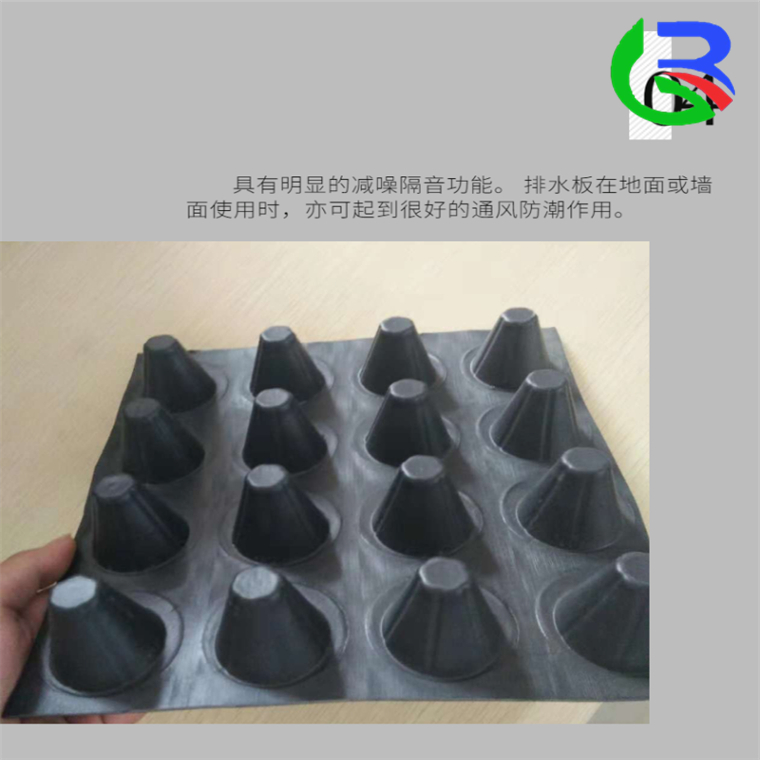 排水板廣安廠家，供應(yīng)廣安排水板，生產(chǎn)排水板廣安潤果實業(yè)集團