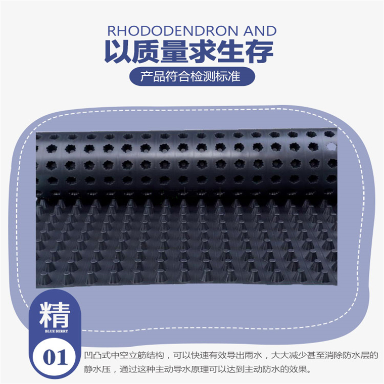 排水板渭南廠家，供應渭南排水板，生產排水板渭南潤果實業集團