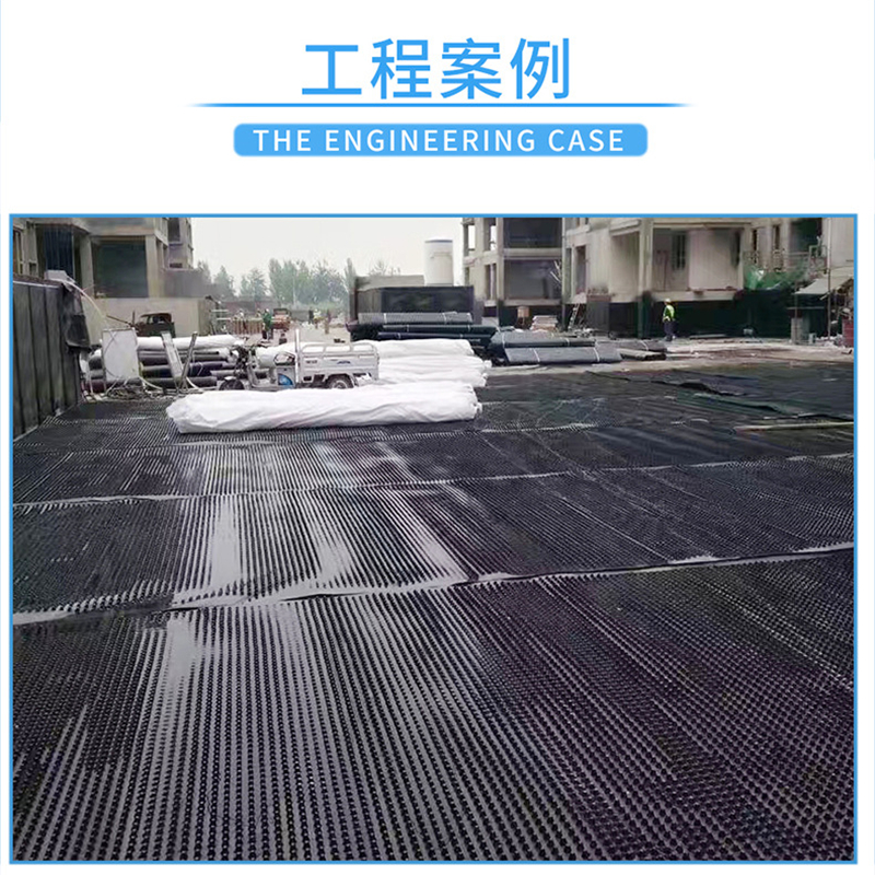 安徽土工材料生產廠家直銷：塑料排水板，HDPE疏水板，PE濾水板，廠家直銷，走量！示例圖9
