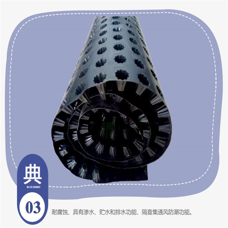 排水板湖北省廠家，供應(yīng)湖北省排水板，生產(chǎn)排水板湖北省潤果實業(yè)集團(tuán)