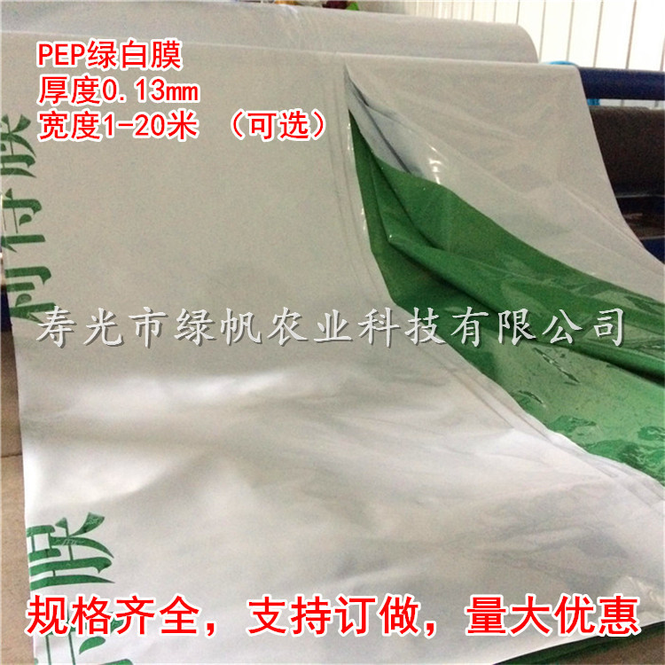 PEP 綠白膜 (1).jpg