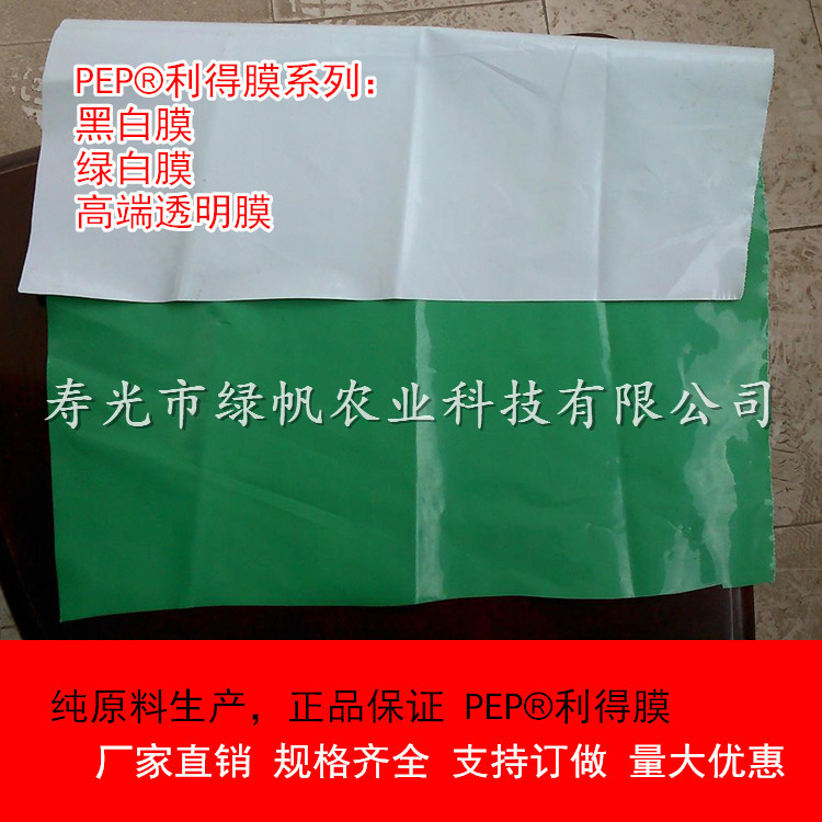 PEP 綠白膜 (5).jpg