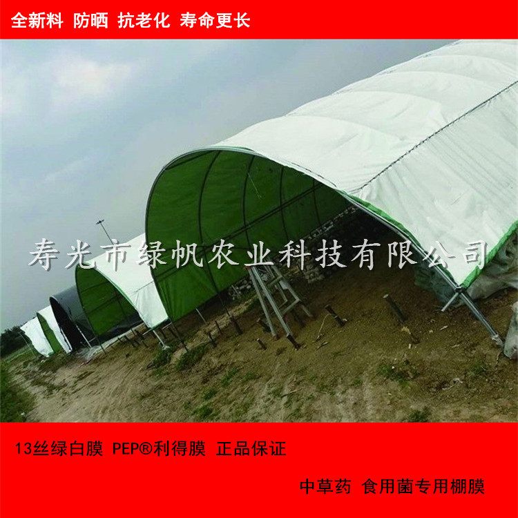 PEP 綠白膜 (2).jpg