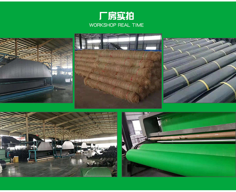 排水板 耐腐蝕建筑工程綠化排水板種植屋面導流板直銷塑料排水板示例圖11