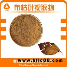 源頭廠家 現(xiàn)貨直銷  布枯葉粉99%  布枯葉黃酮 布枯葉提取物10:1 可定制資質(zhì)齊全