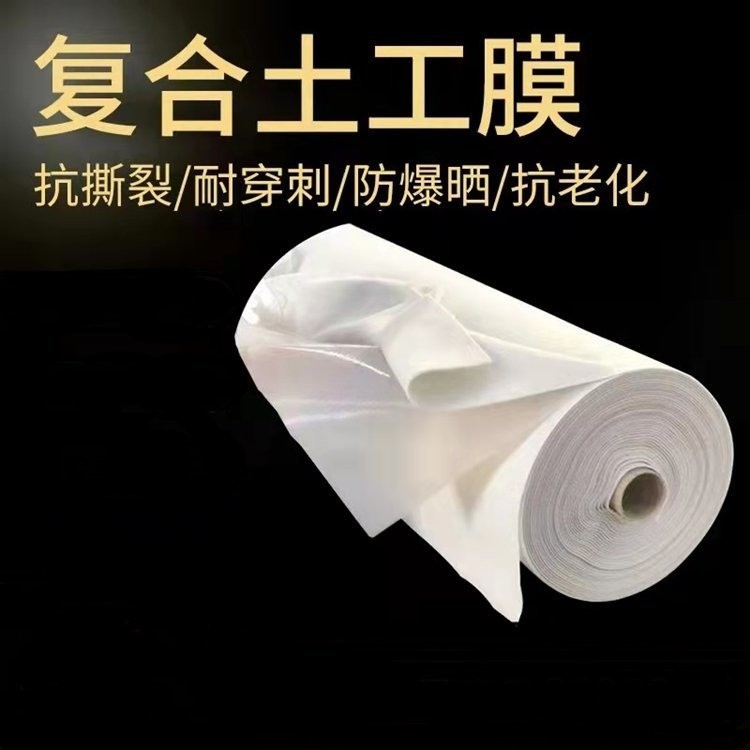 土工膜防水防滲膜人工湖魚塘魚池河道護(hù)坡塑料膜復(fù)合一布兩布一膜潤澤批發(fā)