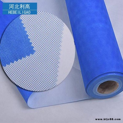 鋼結(jié)構(gòu)防水透氣膜 幕墻呼吸紙 防水透氣膜 隔氣膜 PE隔氣膜 河北利高