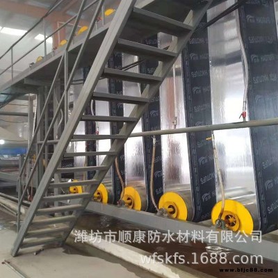 耐根穿刺防水卷材  化學阻根 SBS彈性體改性瀝青防水卷材 國標