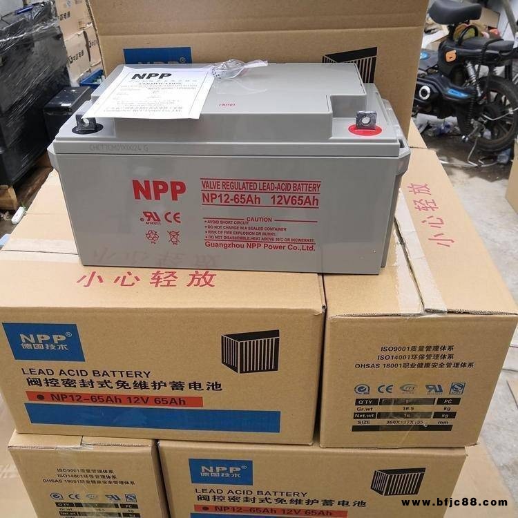 耐普蓄電池型號NP12-250Ah12V250AH機房配套UPS/EPS應(yīng)急電源配套