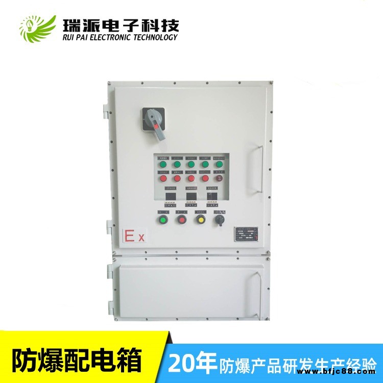 東莞瑞派定制戶外立式防塵防雨防水防爆動力配電柜 批發(fā)防水配電箱