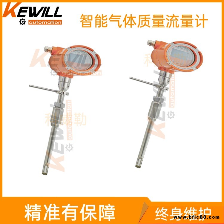 上海熱式氣體質量流量計 熱式氣體流量計 熱式氣體質量流量計廠家