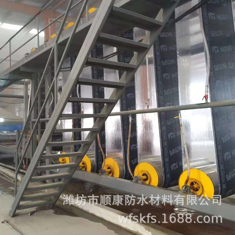 耐根穿刺防水卷材  化學阻根 SBS彈性體改性瀝青防水卷材 國標示例圖10
