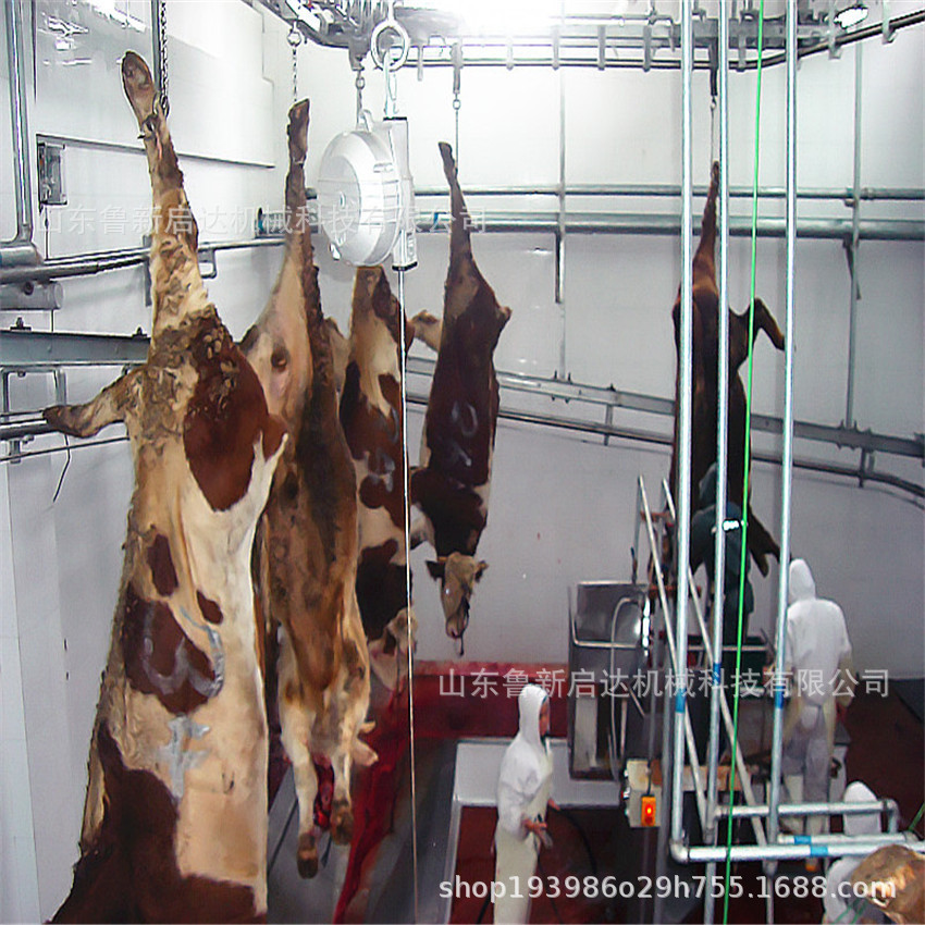 牛氣動單柱升降臺 牛雙柱氣動升降臺  牛屠宰機械示例圖5